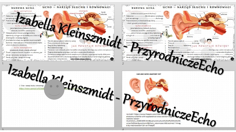 Minizestaw na temat „Ucho - narząd słuchu i równowagi” – sketchnotka + karta pracy w power point + gratisowy link do prezentacji multimedialnej niekomercyjnej wykonanej w genial.ly do indywidualnego pobrania i użycia do celów niekomercyjnych. Biologia 7,