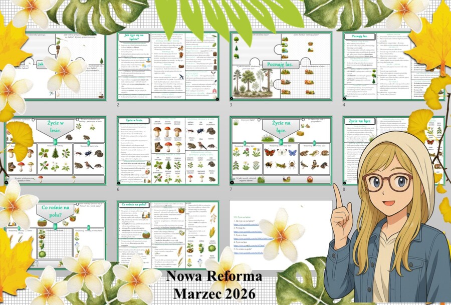 Średni - kompletny zestaw materiałów do jednego działu z przyrody "Życie na lądzie": sketchnotka, karta pracy w pdf i prezentacja multimedialna w genial.ly do edycji. Przyroda 4. "Odkrywam przyrodę" - dostosowane do wydawnictwa Nowa Era.