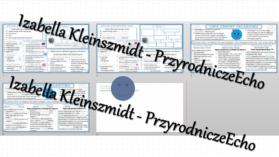 Minizestaw na temat „Budowa i funkcjonowanie układu odpornościowego” – sketchnotka + karta pracy w power point + gratisowy link do prezentacji multimedialnej niekomercyjnej wykonanej w genial.ly do indywidualnego pobrania i użycia do celów niekomercyjnyc