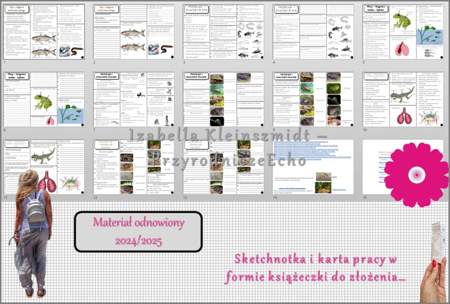 Zestaw sketchnotek i kart pracy + gratisowe linki do prezentacji multimedialnych niekomercyjnych wykonanych w genial.ly do indywidualnego pobrania i użycia do celów niekomercyjnych. Biologia 6, „Kręgowce zmiennocieplne”