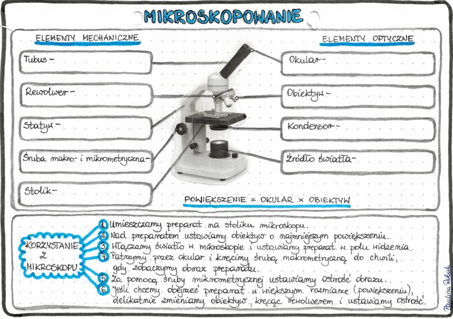 Mikroskopowanie - kolor