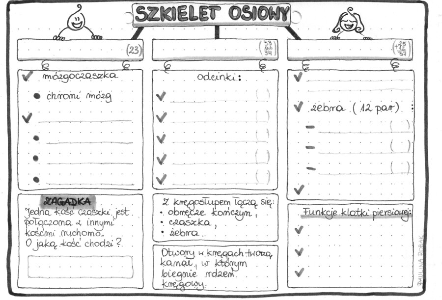 Szkielet osiowy - klasa 7 - szarość