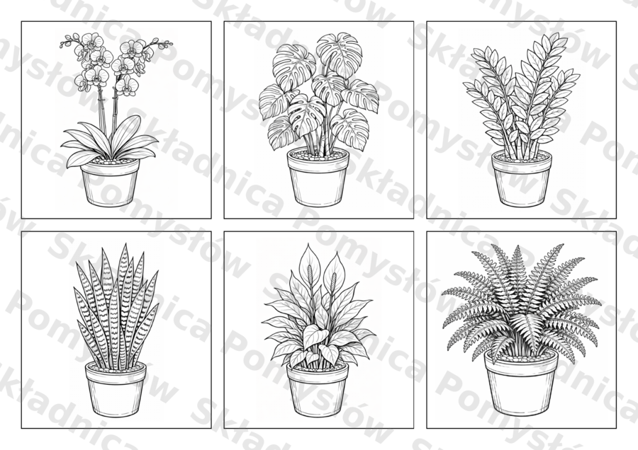ROŚLINY DONICZKOWE - kolorowanka edukacyjna - (PDF A4, 7 stron: 6 roślin + miniatury) - przyroda/biologia