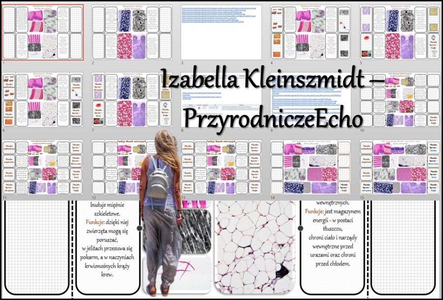 Notatki okienkowe/stacja zadaniowe/notatka/notatka graficzna/karta pracy/sketchnotka „Tkanki zwierzęce”, „W królestwie zwierząt” w pdf. Biologia 6 dział „Świat zwierząt”. Materiał wykonany na podstawie podręcznika z wydawnictwa Nowa Era – nowość 2024/202