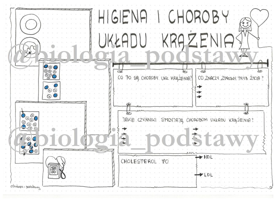 Klasa 7 - Higiena i choroby układu krążenia - LP