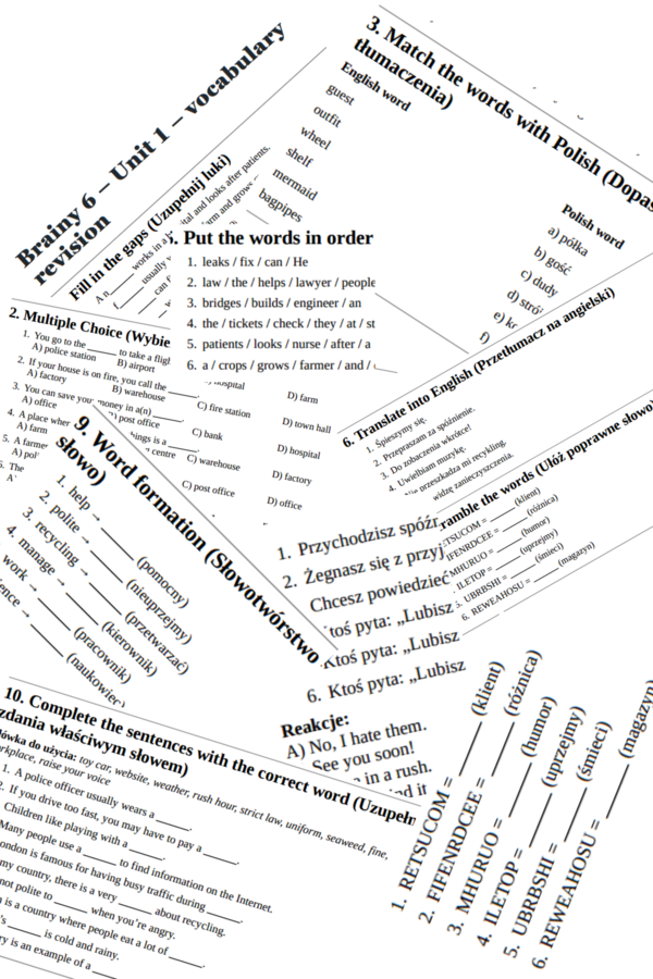 Brainy 6 – Unit 1 – vocabulary revision