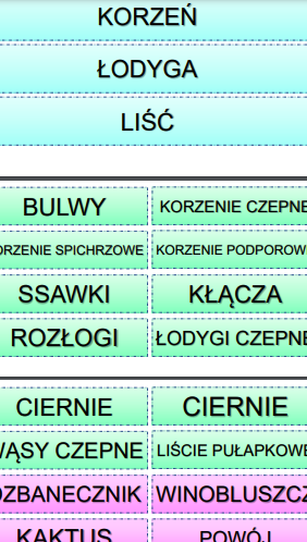 PRZEKSZTAŁCENIA ORGANÓW ROŚLINNYCH WYCINANKI-DOPASOWANKI