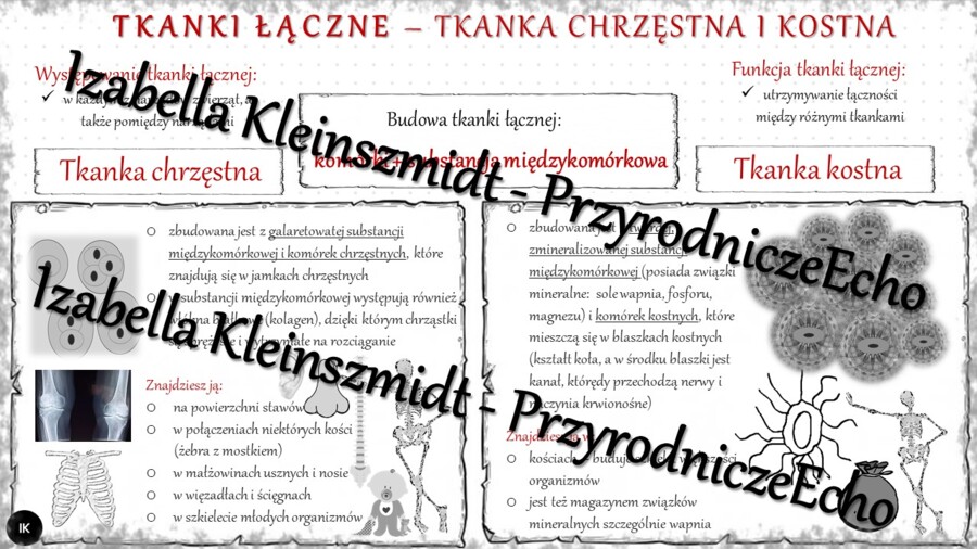 Sketchnotka - notatka „Tkanka łączna -tkanka chrzęstna i kostna” wykonana w power point do edycji. Biologia 6; „Świat zwierząt”