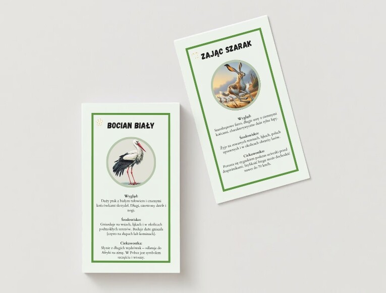 Karty przyrodnicze dla najmłodszych. Gatunki lądowe. Gatunki wodne. Gatunki leśne.