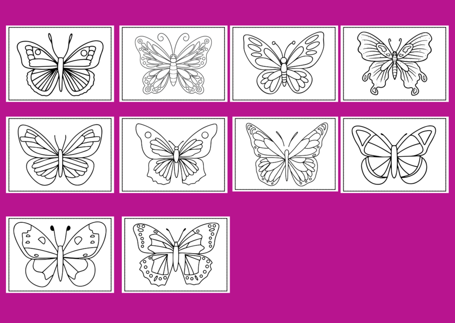 DZIEŃ MOTYLA – Galeria portretów – kolorowanka – kolorowanki – WIOSNA – biblioteka – świetlica – przedszkole – 30 wersji