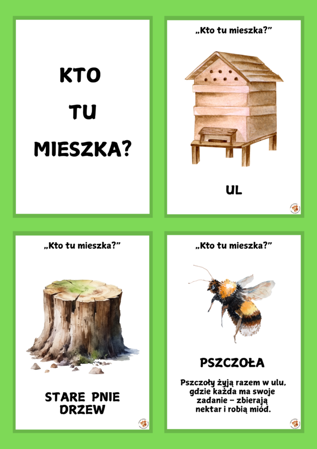 MAJOWA ŁĄKA