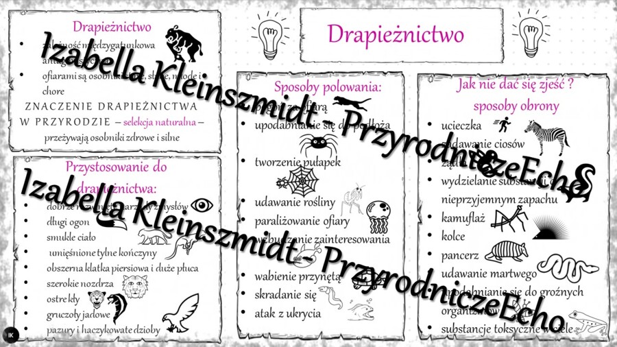Sketchnotka - notatka „Drapieżnictwo” wykonana w power point do edycji. Biologia 8; „EKOLOGIA