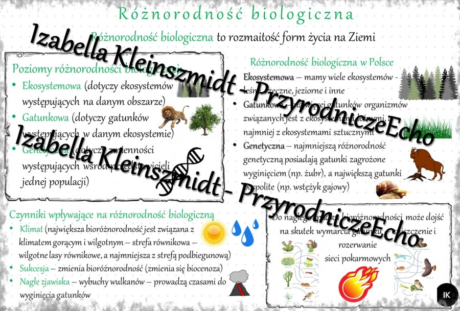 Sketchnotka - notatka „Różnorodność biologiczna” wykonana w power point do edycji. Biologia 8; „Człowiek i środowisko”
