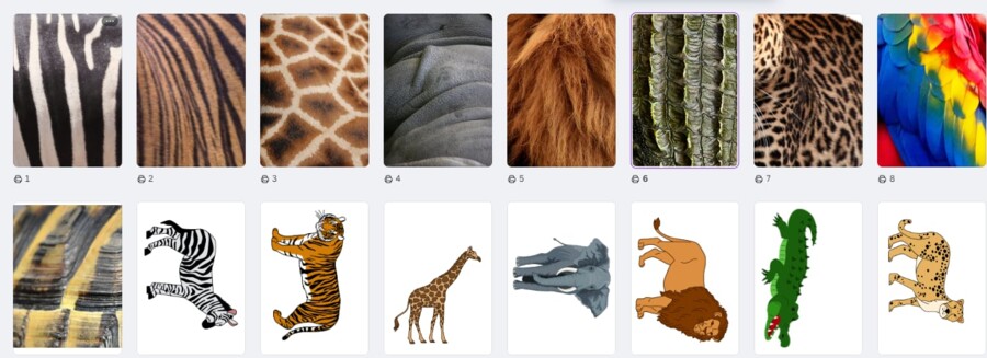 Zwierzęta egzotyczne i ich futerka