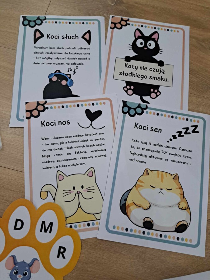 Karty pracy dzień kota + ciekawostki