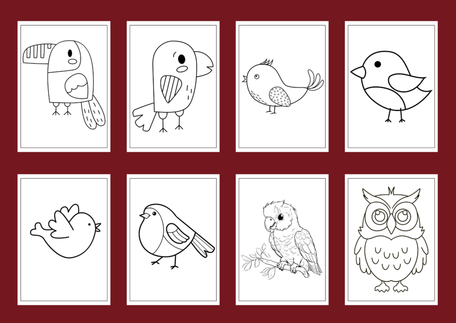 DZIEŃ PTAKÓW – Galeria portretów – kolorowanka – kolorowanki – WIOSNA – biblioteka – świetlica – przedszkole – 49 wersji
