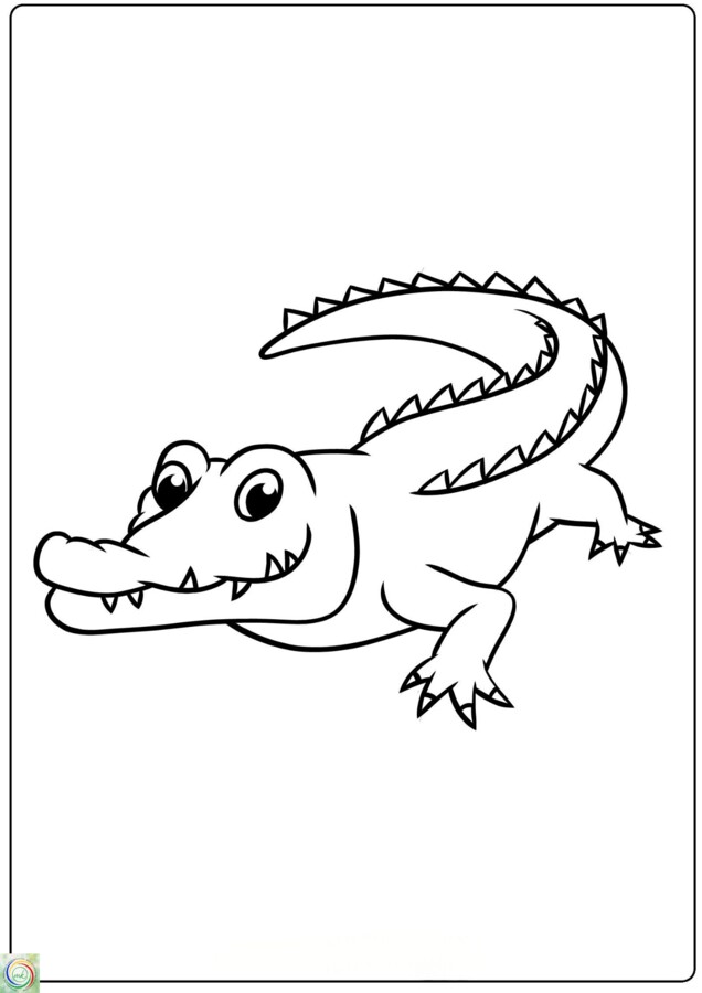 ZWIERZĘCE KOLOROWANKI