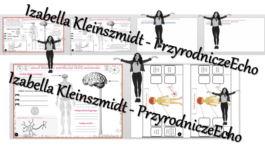 Kompletny zestaw na jedną lekcję „Układ nerwowy kontroluje pracę organizmu” – sketchnotka + karty pracy w power point + gratisowy link do prezentacji multimedialnej niekomercyjnej + gratisowy link do lekcji multimedialnej niekomercyjnej również wykonanej