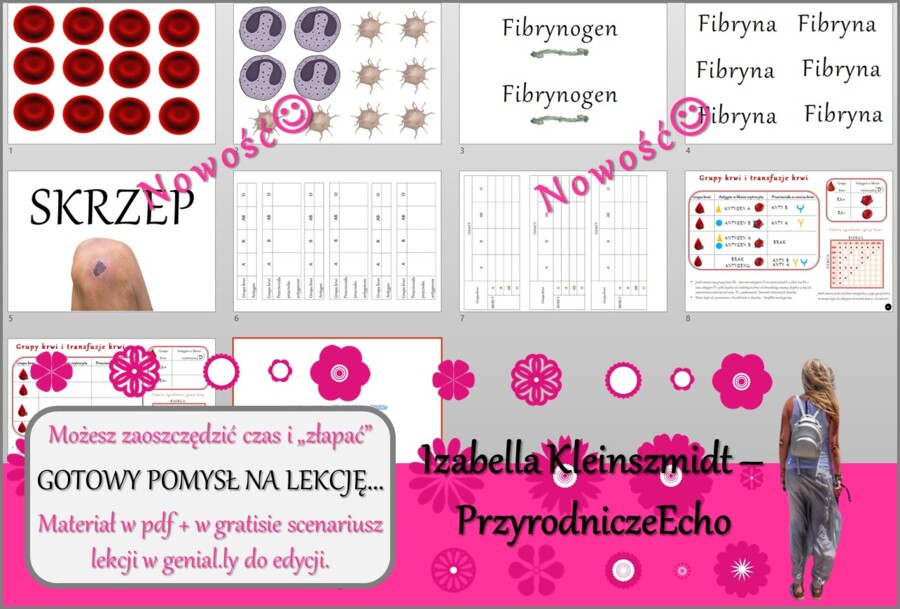 Karta pracy/stacje zadaniowe/materiał do lekcji do tematu „Grupy krwi” w pdf. W gratisie niekomercyjny scenariusz lekcji/pomysł na lekcję w programie genial.ly do edycji. Biologia 7. Dział „Układ krwionośny”.