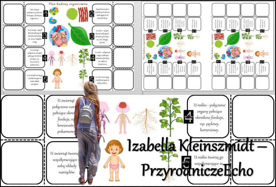 Materiał do zalaminowania/praca w grupach/stacje zadaniowe/układanka/puzzle/notatki okienkowe. Temat: „Biologia jako nauka” w pdf. Biologia 5 dział „Biologia – nauka o życiu”. Materiał wykonany na podstawie podręcznika z wydawnictwa Nowa Era – nowość 202