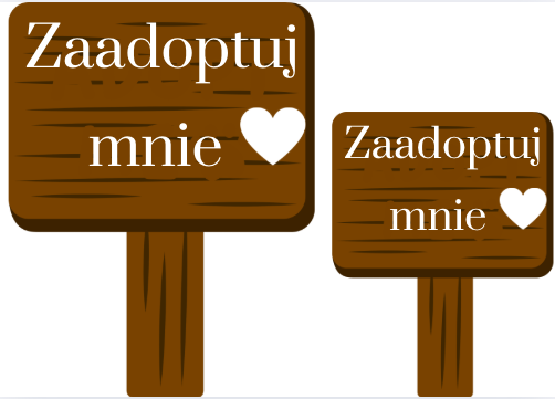 🐾 Dzień Praw Zwierząt – gotowa gazetka edukacyjna A4 (50 stron do druku!) 🐾 Ta gazetka to strzał w dziesiątkę na szkolne obchody Dnia Praw Zwierząt! 💛