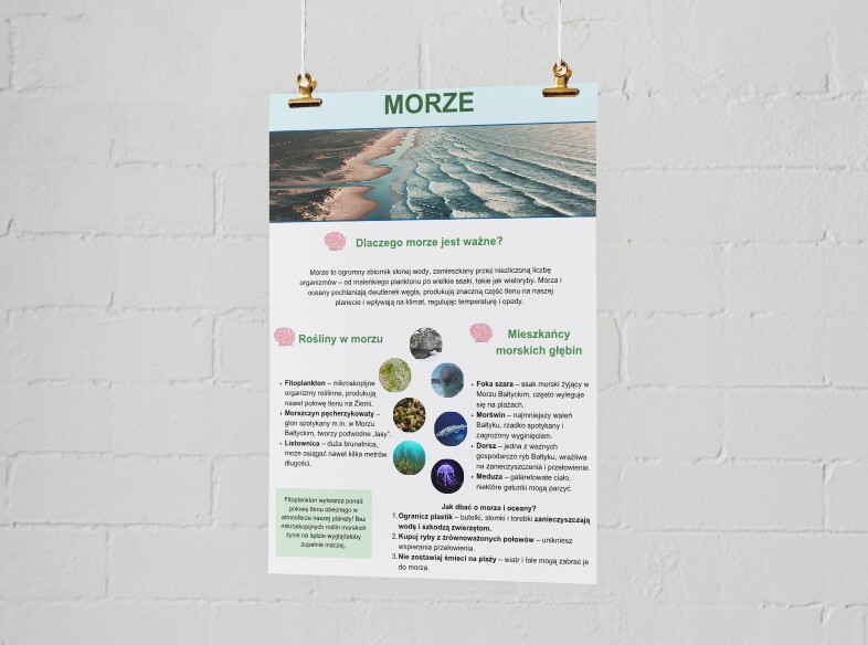 Plakaty o ekosystemach. Las, łąka, jezioro, morze, góry.