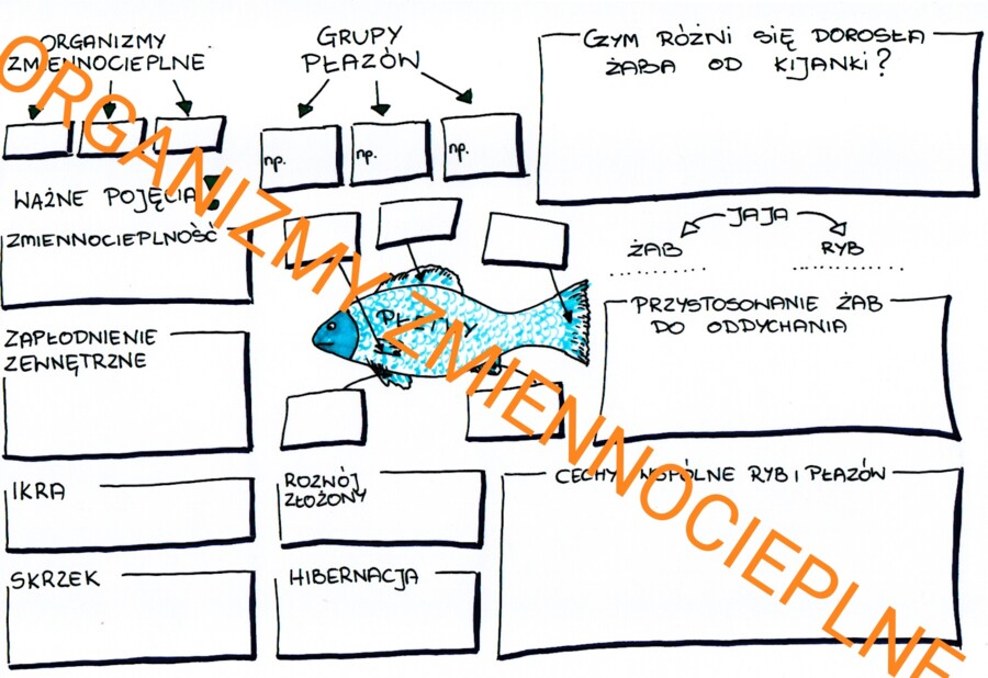ORGANIZMY ZMIENNOCIEPLNE
