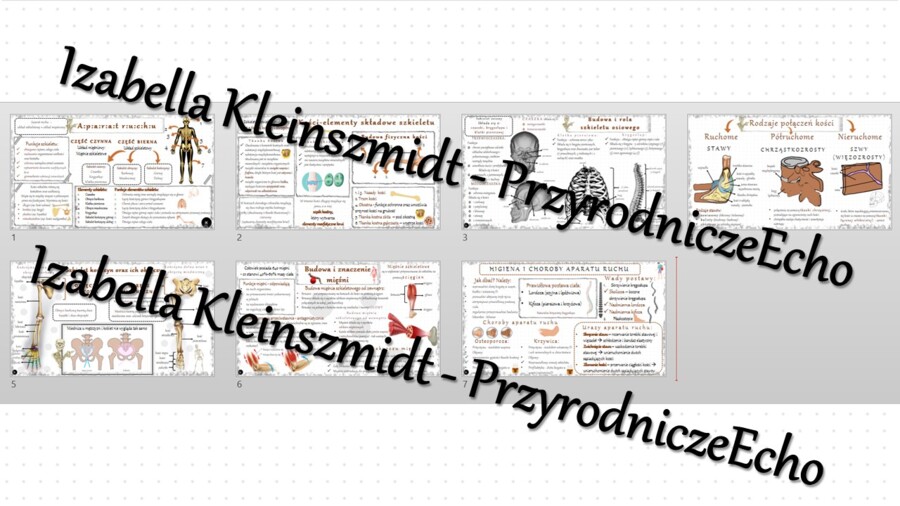 Zestaw sketchnotek – notatek do całego działu „Aparat ruchu” wykonanych w power point do edycji. Biologia 7