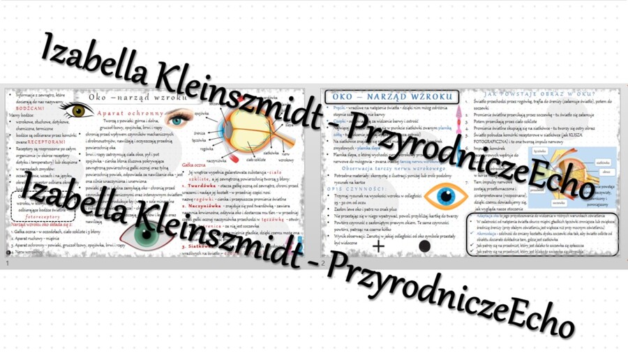 Sketchnotka - notatka „Budowa i działanie narządu wzroku” wykonana w power point do edycji. Biologia 7; „Narządy zmysłów”