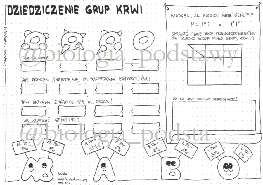 Klasa 8 - Dziedziczenie grup krwi - KP