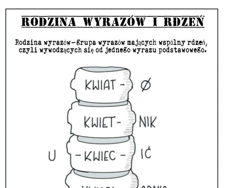 Rodzina wyrazów i rdzeń wyrazowy