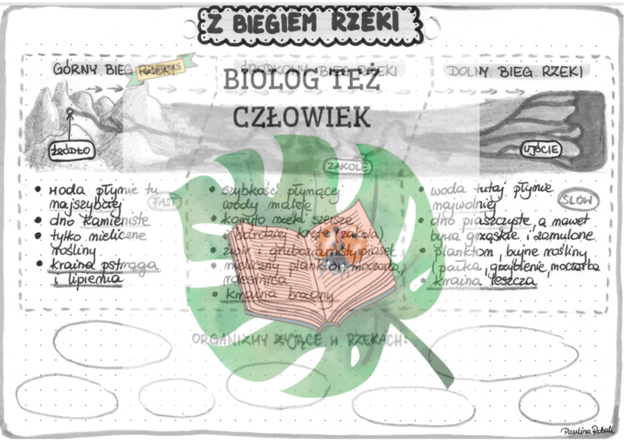 Z biegiem rzeki - szarość