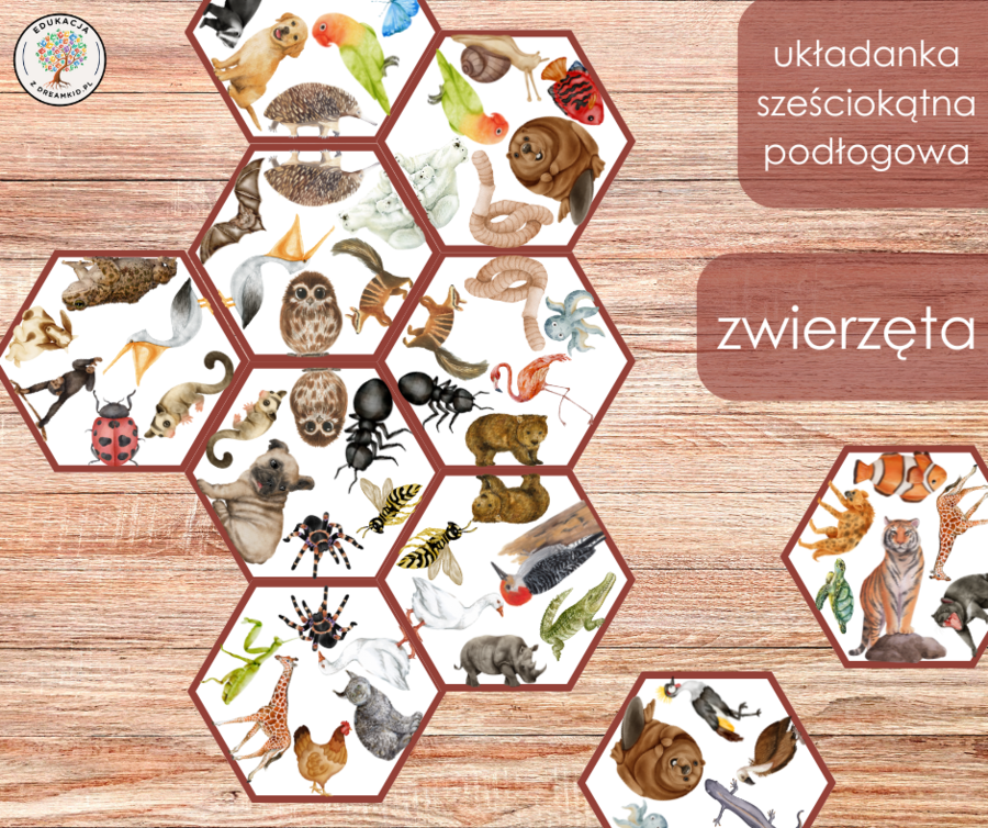 Układanka sześciokątna podłogowa - zwierzęta