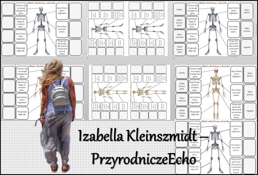 Notatka okienkowa/stacja zadaniowe/notatka interaktywna/notatka graficzna/karta pracy/sketchnotka „Budowa szkieletu”, „Aparat ruchu. Budowa szkieletu”. w pdf. Biologia 7, dział „Aparat ruchu”. Materiał wykonany na podstawie podręcznika z wydawnictwa Nowa