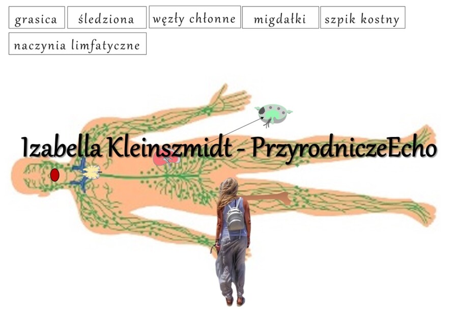 Materiał do zalaminowania/praca w grupach/puzzle/układanka. „Układ limfatyczny” w pdf. Biologia 7, dział „Układ krążenia”.