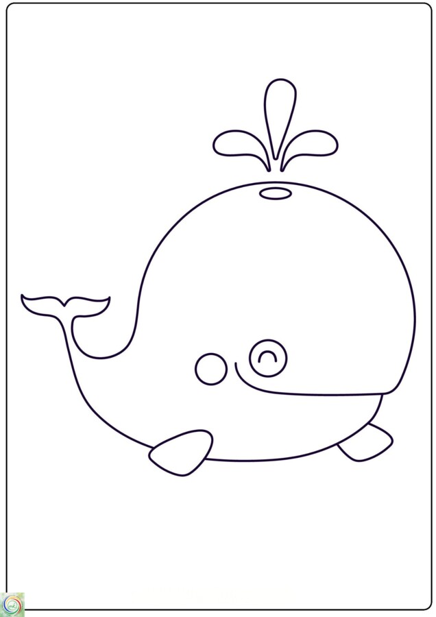 ZWIERZĘCE KOLOROWANKI