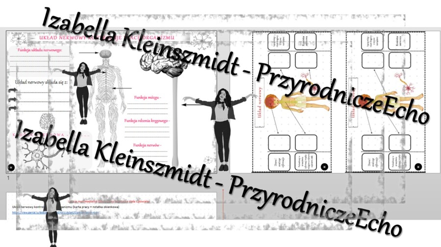 Karta pracy i pomysł/inspiracja na lekcję „Układ nerwowy kontroluje pracę organizmu” - karta pracy wykonana w power point + gratisowy pomysł na lekcję - link do lekcji multimedialnej niekomercyjnej wykonanej w genial.ly do indywidualnego pobrania i użyci