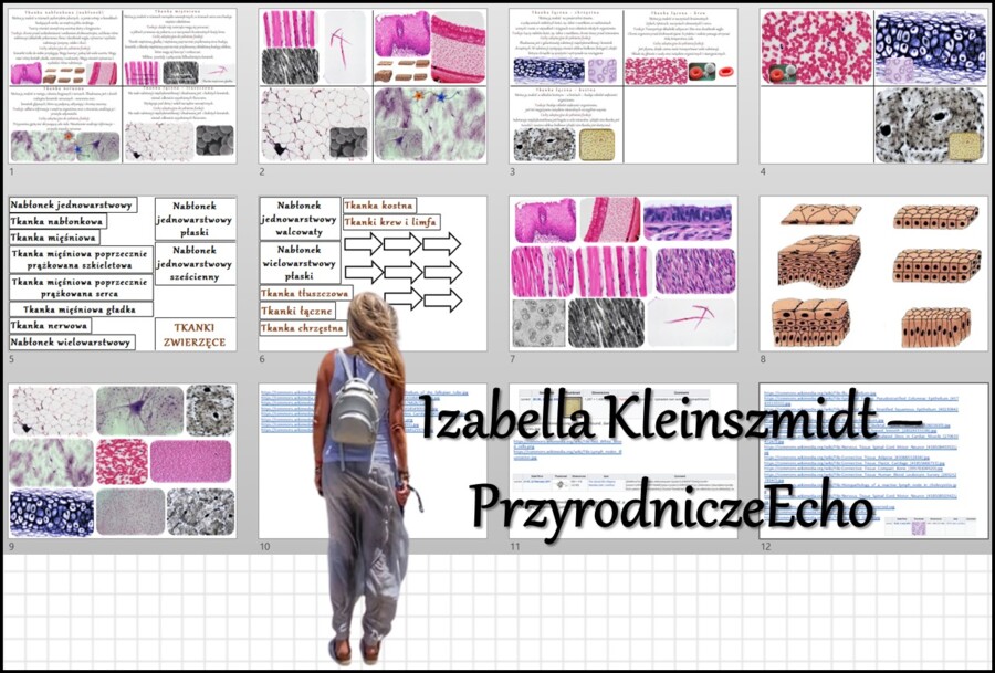 Materiał do zalaminowania/praca w grupach/stacje zadaniowe/układanka/puzzle/notatki okienkowe. Temat: „Organizm człowieka jako funkcjonalna całość” w pdf. Biologia 7 dział „Organizm człowieka. Skóra - powłoka organizmu”. Materiał wykonany na podstawie po