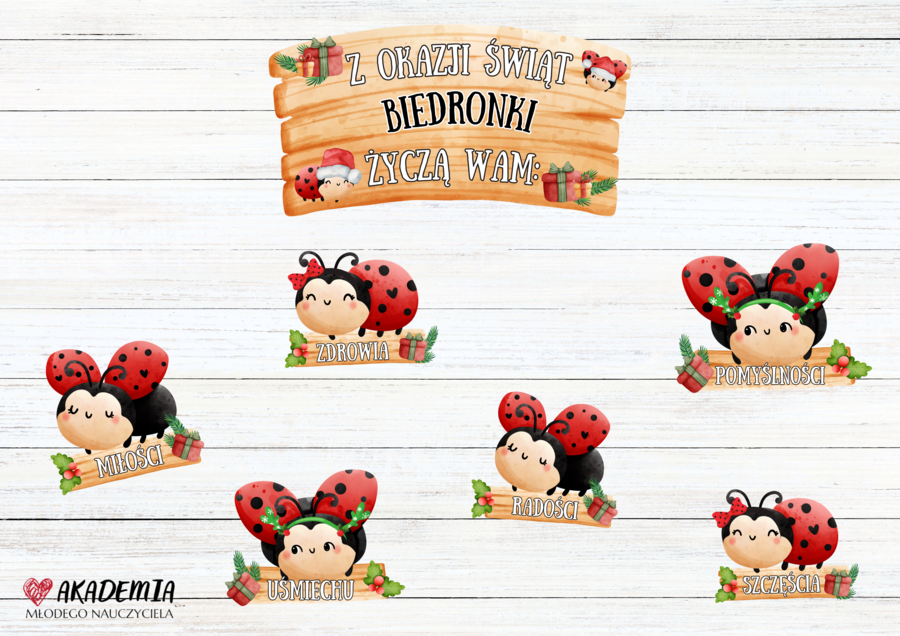 ŚWIĄTECZNE ŻYCZENIA - WERJA BIEDRONKI - INNE NAZWY GRUP RÓWNIEŻ DOSTĘPNE