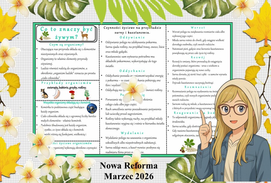 Sketchnotka/notatka - dla ucznia i przypomnienie dla nauczyciela w pdf. Temat "Co to znaczy być żywym?". Przyroda 4. "Odkrywam przyrodę" zgodna z wydawnictwem Nowa Era. Dział "Jak działają organizmy?".