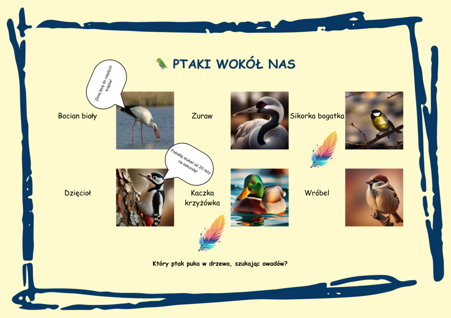 Czym jest ekologia? Zwierzęta leśne. Grzyby. Ciekawostki. Hotelik dla owadów. Naklejki. Mini-bajka.