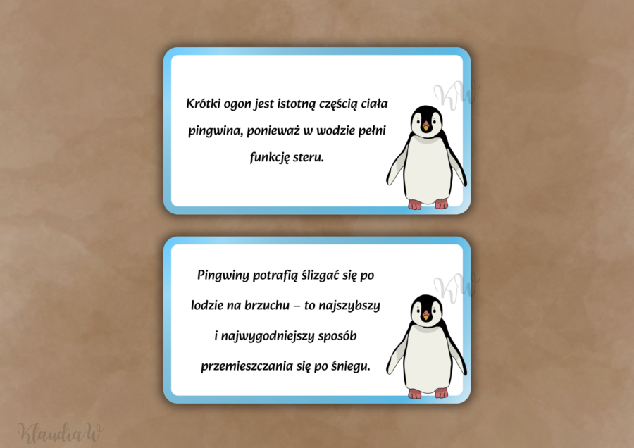 DZIEŃ PINGWINA - ZESTAW