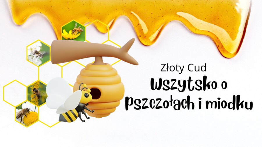 Dzień pszczoły, prezentacja, gazetka, kolorowanka XXL