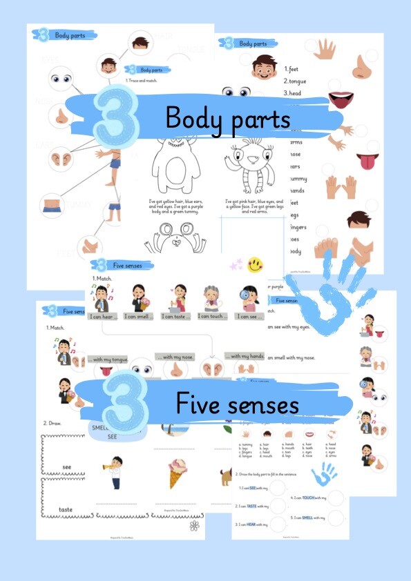 Body parts and five senses.