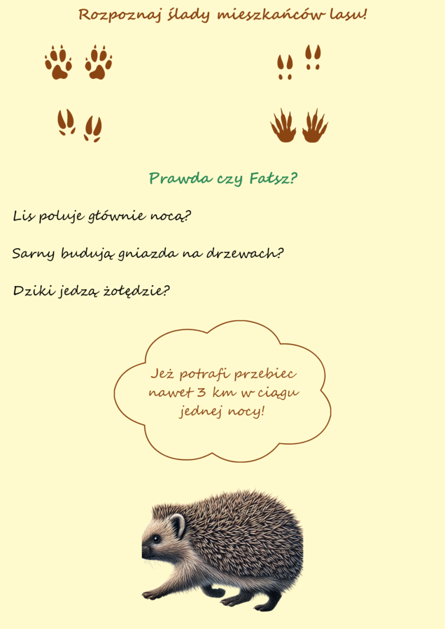 Zwierzęta naszych lasów. Plakat. Bingo