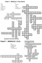 Flash 7 – Module 1 – krzyżówki