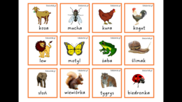 Gra typu memory – utrwalanie czytania