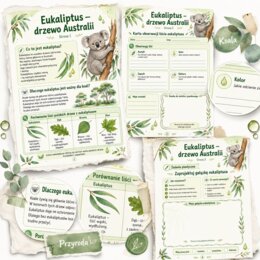 Eukaliptus - drzewo Australii