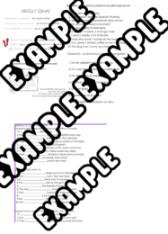 Present Simple- zadania i omówienie czasu