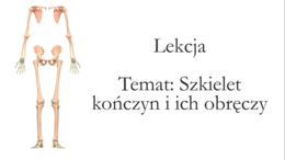 Klasa 7 - Szkielet kończyn i ich obręczy - prerzentacja